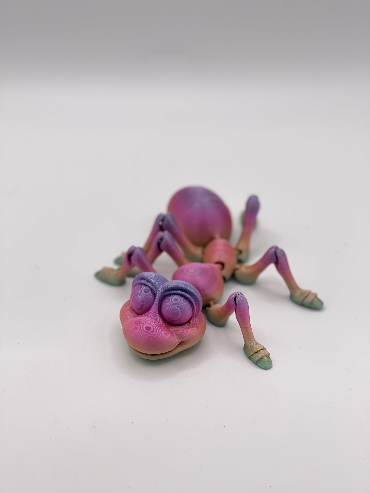 colourful little ant