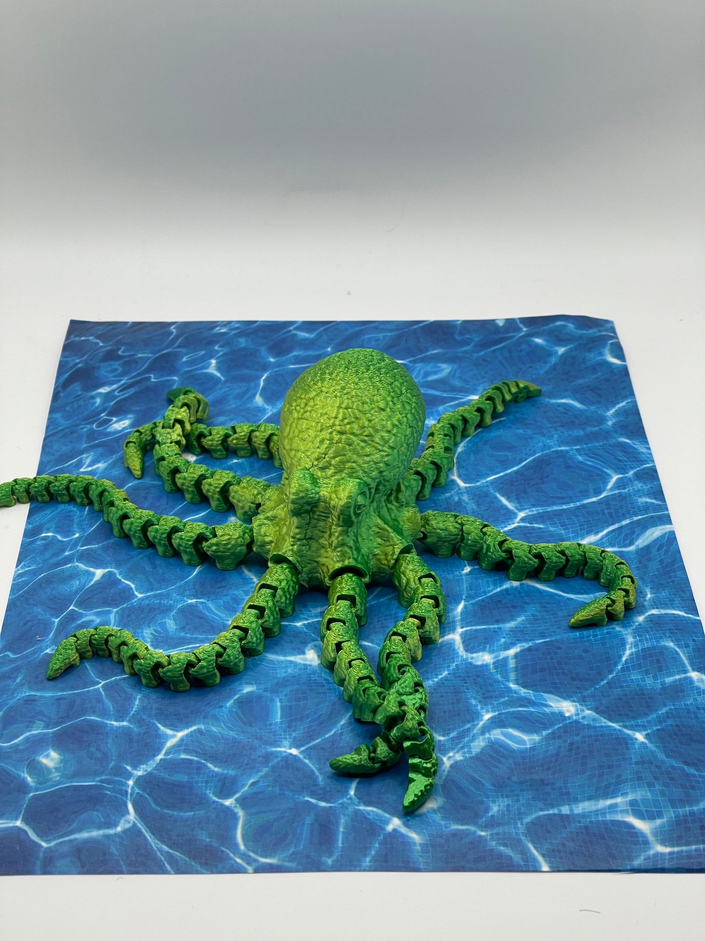 Little Octopus