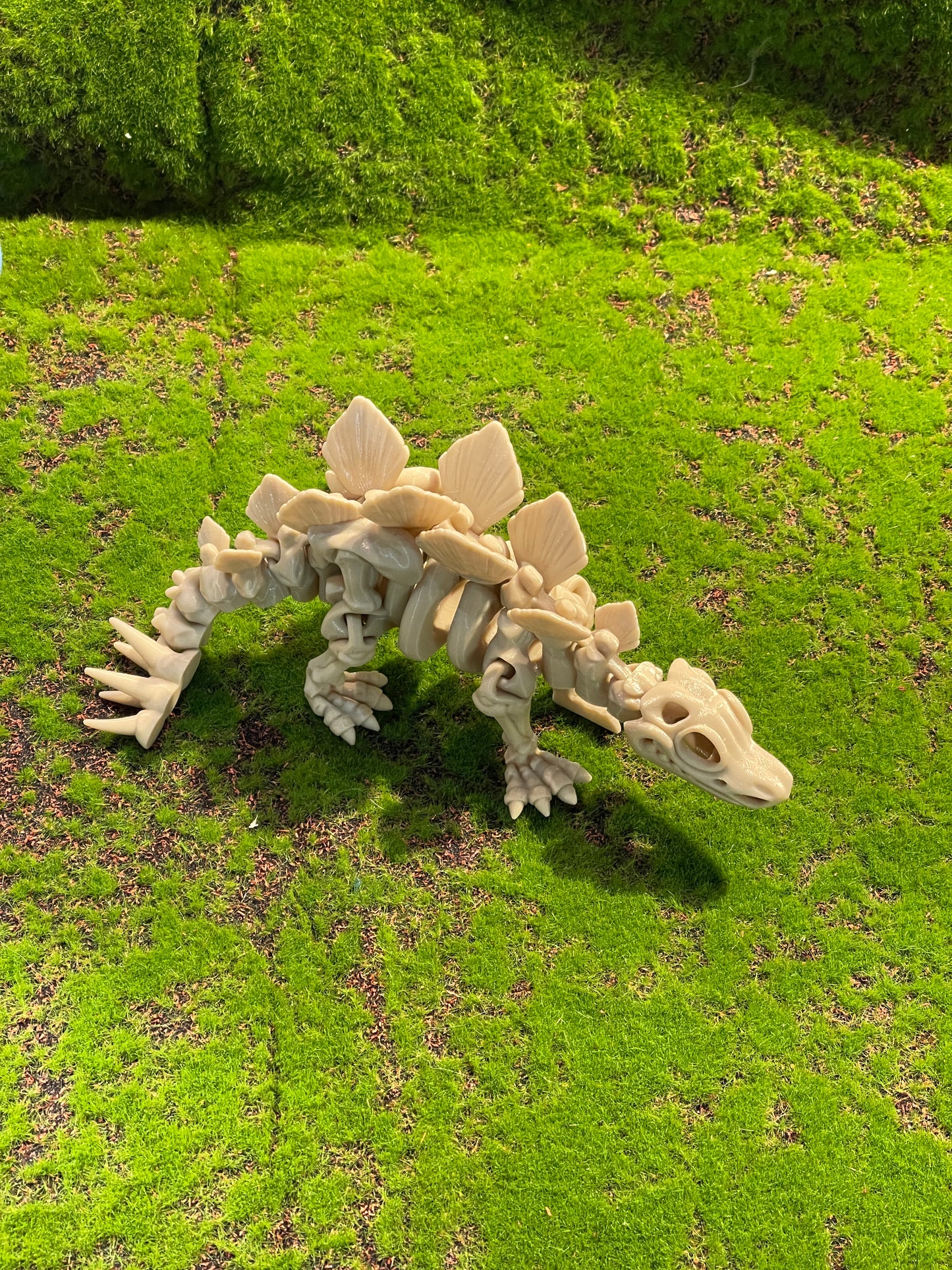 Bone stegosaurus