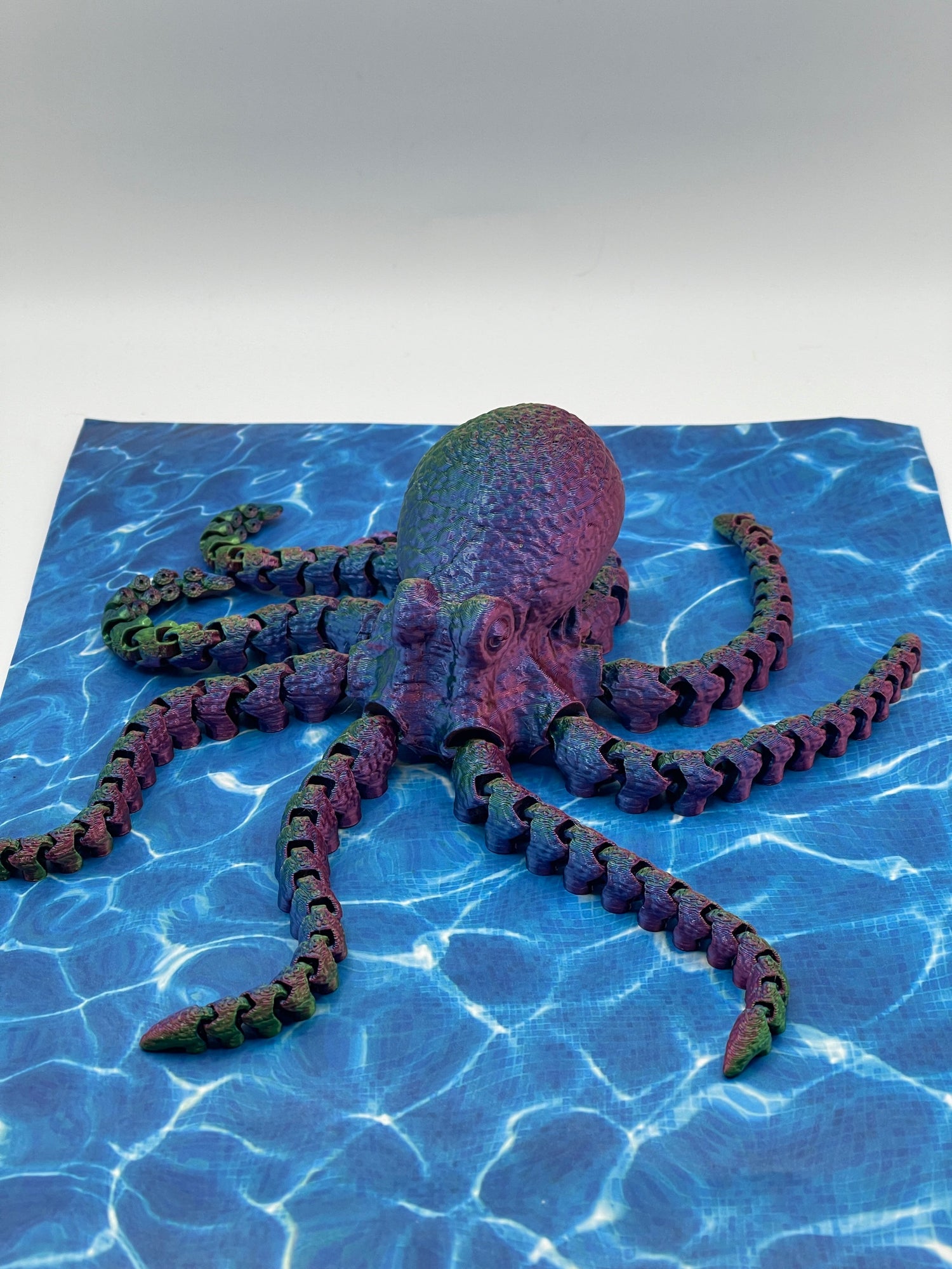 Sea creature